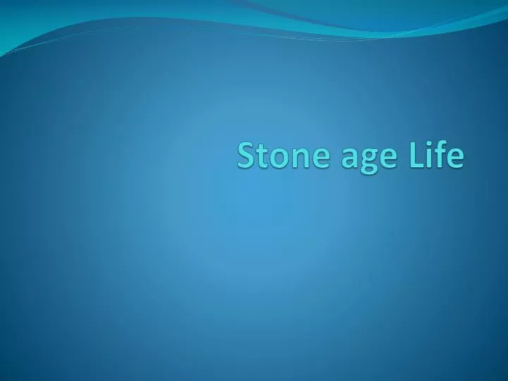 stone age life