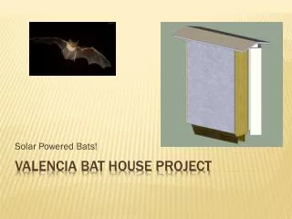 Valencia Bat House Project