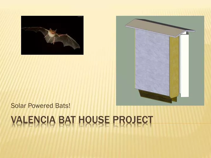 solar powered bats