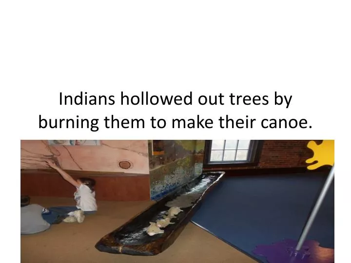 indians hollowed out trees by burning them to make their canoe
