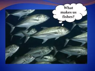 What makes us fishes?