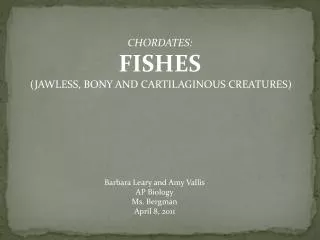 CHORDATES: FISHES (JAWLESS, BONY AND CARTILAGINOUS CREATURES)