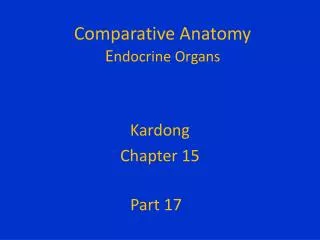 Comparative Anatomy E ndocrine Organs