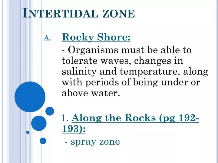 intertidal zone