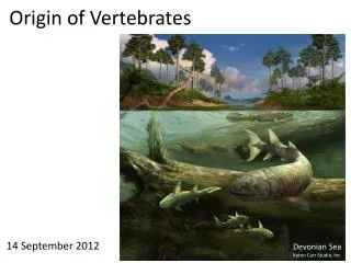 Origin of Vertebrates
