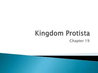 kingdom protista