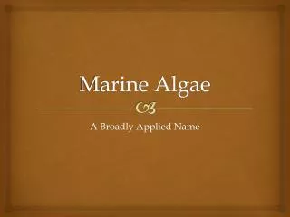 Marine Algae
