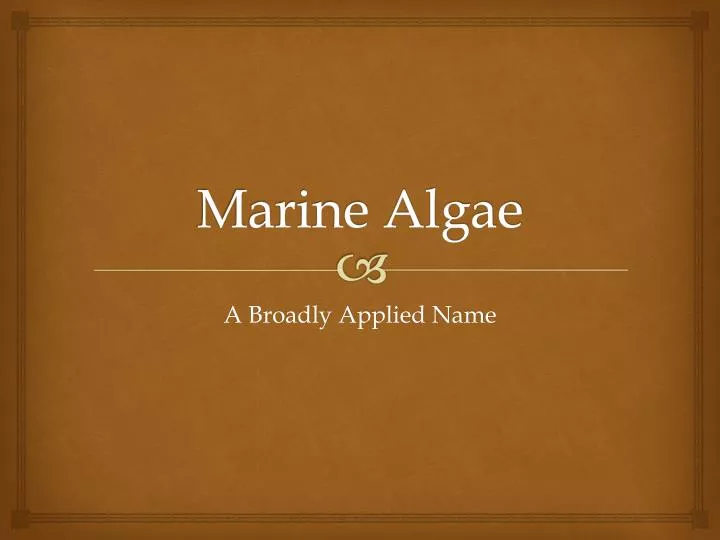 marine algae