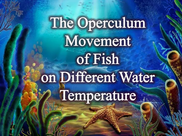 PPT - The Operculum Movement of Fish on Different Water Temperature  PowerPoint Presentation - ID:2116892