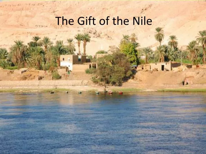 Gift of the Nile™ & Dragon Flame™ - Everi-thephaco.com.vn