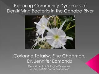 Exploring Community Dynamics of Denitrifying Bacteria in the Cahaba River