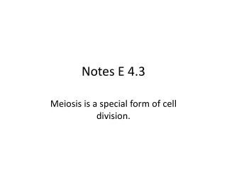 Notes E 4.3