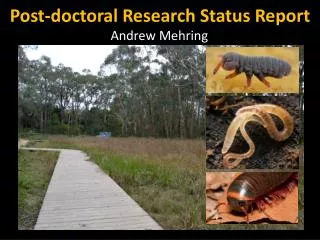 Post-doctoral Research Status Report