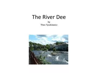 The River Dee by Theo Tyszkiewicz