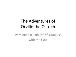 The Adventures of Orville the Ostrich