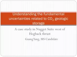 Understanding the fundamental uncertainties related to CO 2 geologic storage