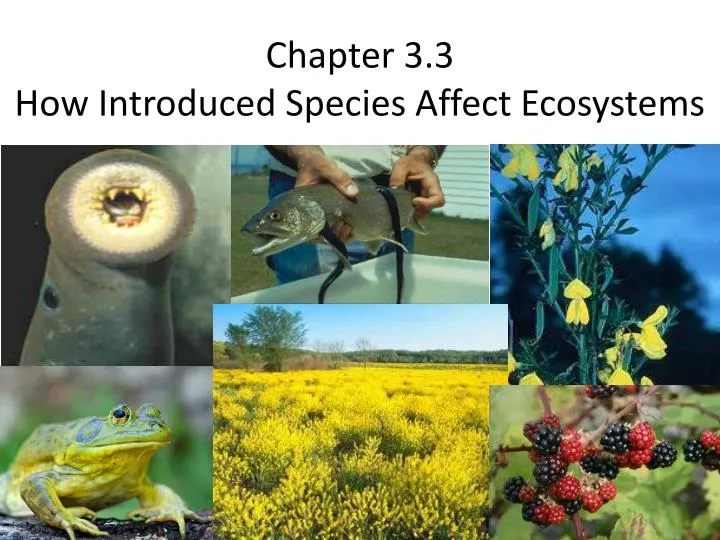 chapter 3 3 how introduced species affect ecosystems