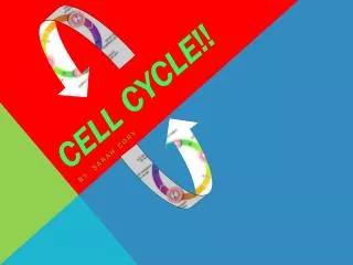 Cell Cycle!!