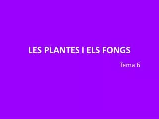 LES PLANTES I ELS FONGS