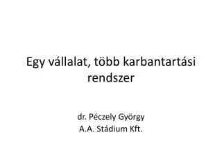 egy v llalat t bb karbantart si rendszer
