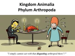 Kingdom Animalia Phylum Arthropoda