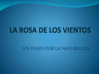 la rosa de los vientos