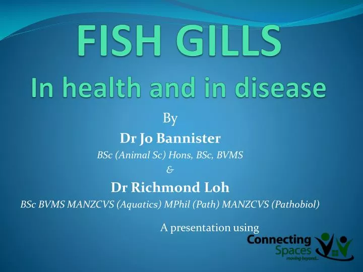 fish gills in health and in disease