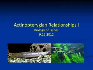 Actinopterygian Relationships I Biology of Fishes 9.25.2012