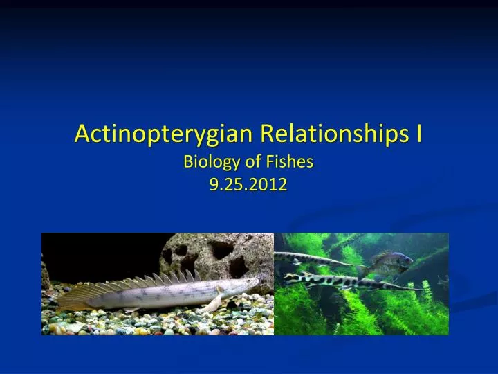 actinopterygian relationships i biology of fishes 9 25 2012
