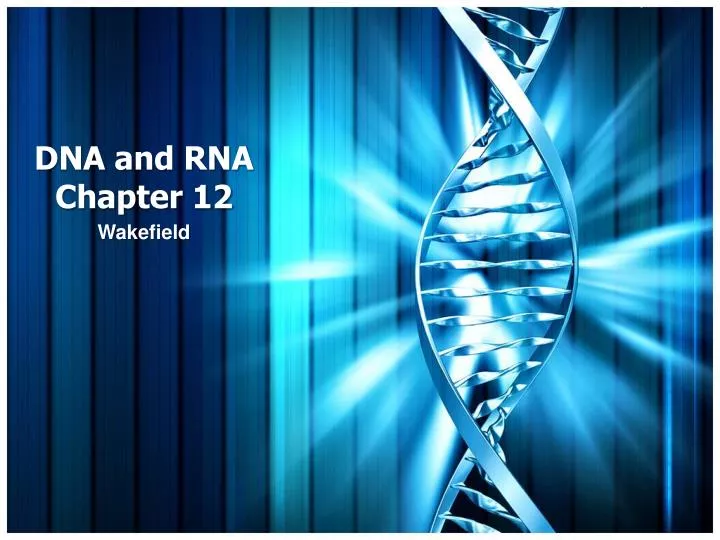 dna and rna chapter 12