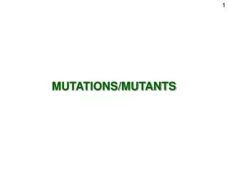MUTATIONS/MUTANTS