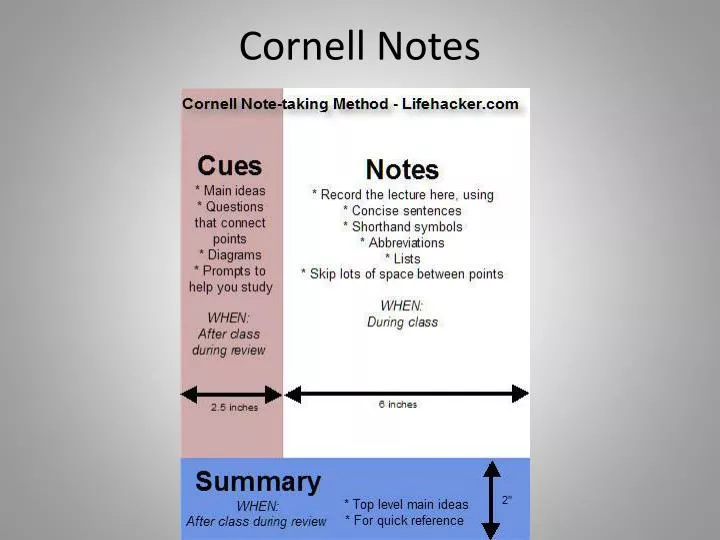 cornell notes