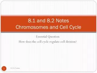 8.1 and 8.2 Notes Chromosomes and Cell Cycle