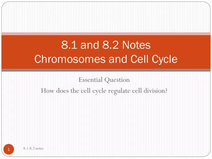 8 1 and 8 2 notes chromosomes and cell cycle
