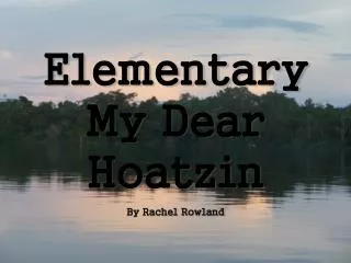 Elementary My Dear Hoatzin By Rachel Rowland