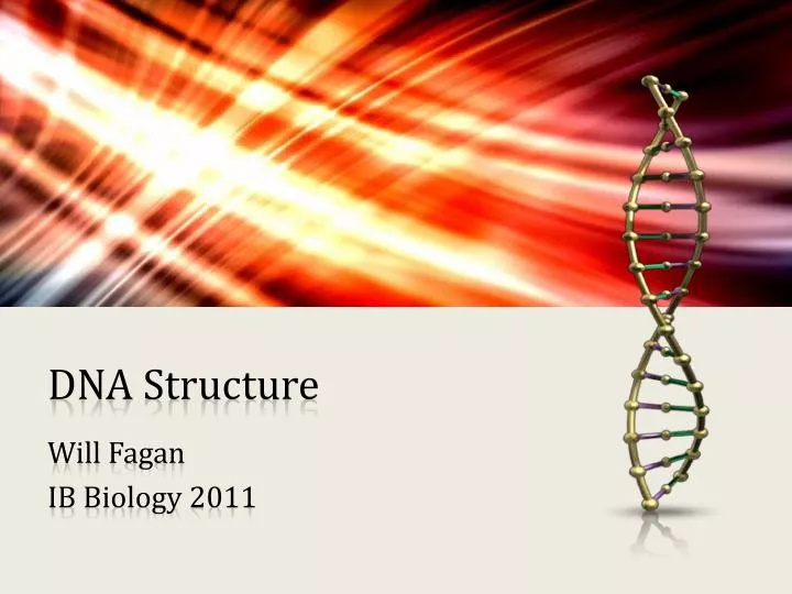 dna structure