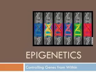 epigenetics