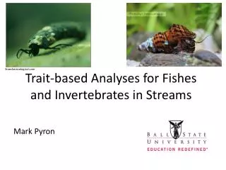 Trait-based Analyses for Fishes and Invertebrates in Streams