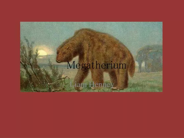 megatherium