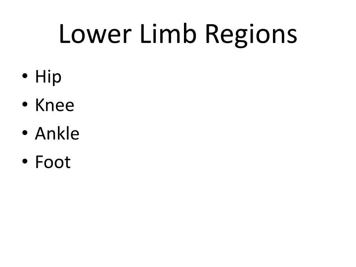 lower limb regions