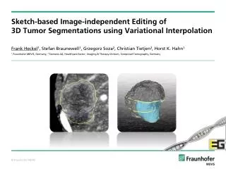 Sketch-based Image-independent Editing of 3D Tumor Segmentations using Variational Interpolation