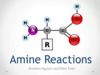 Amine Reactions