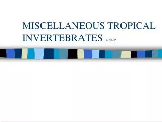 MISCELLANEOUS TROPICAL INVERTEBRATES 3-20-05