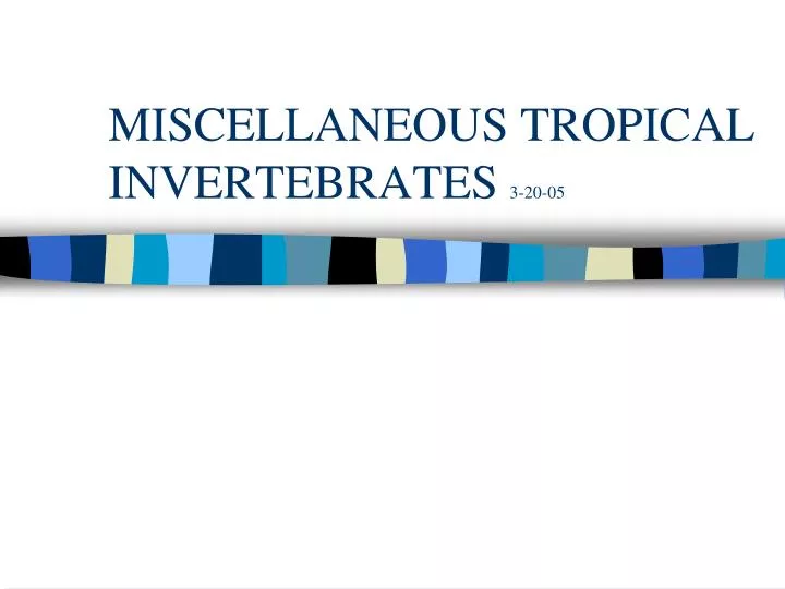 miscellaneous tropical invertebrates 3 20 05