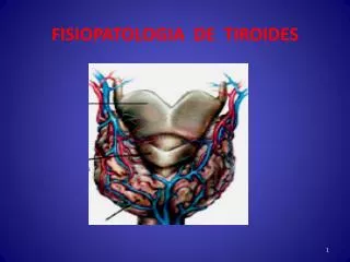 fisiopatologia de tiroides