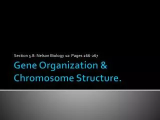 Gene Organization &amp; Chromosome Structure.