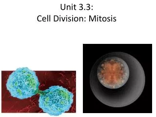Unit 3.3: Cell Division: Mitosis