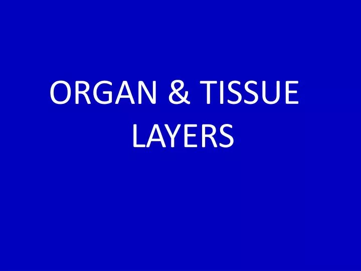 organ tissue layers