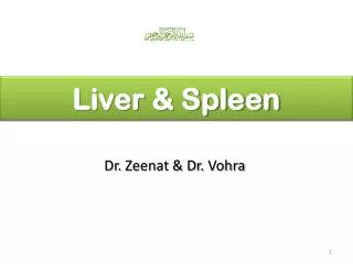 Liver &amp; Spleen