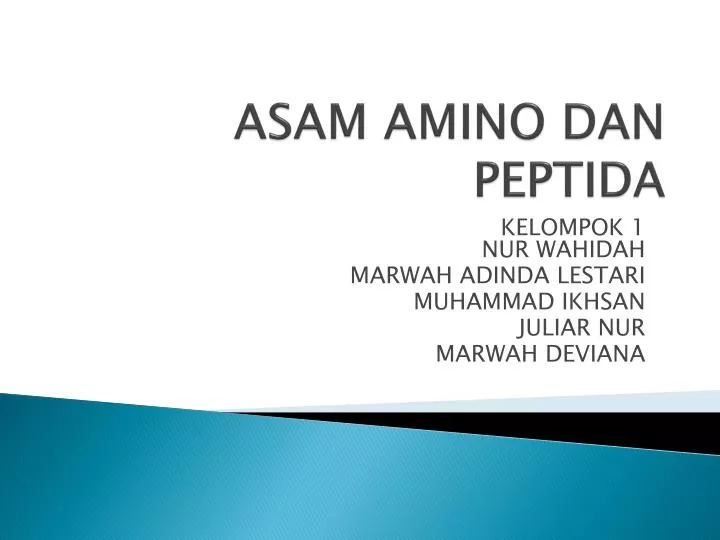 asam amino dan peptida